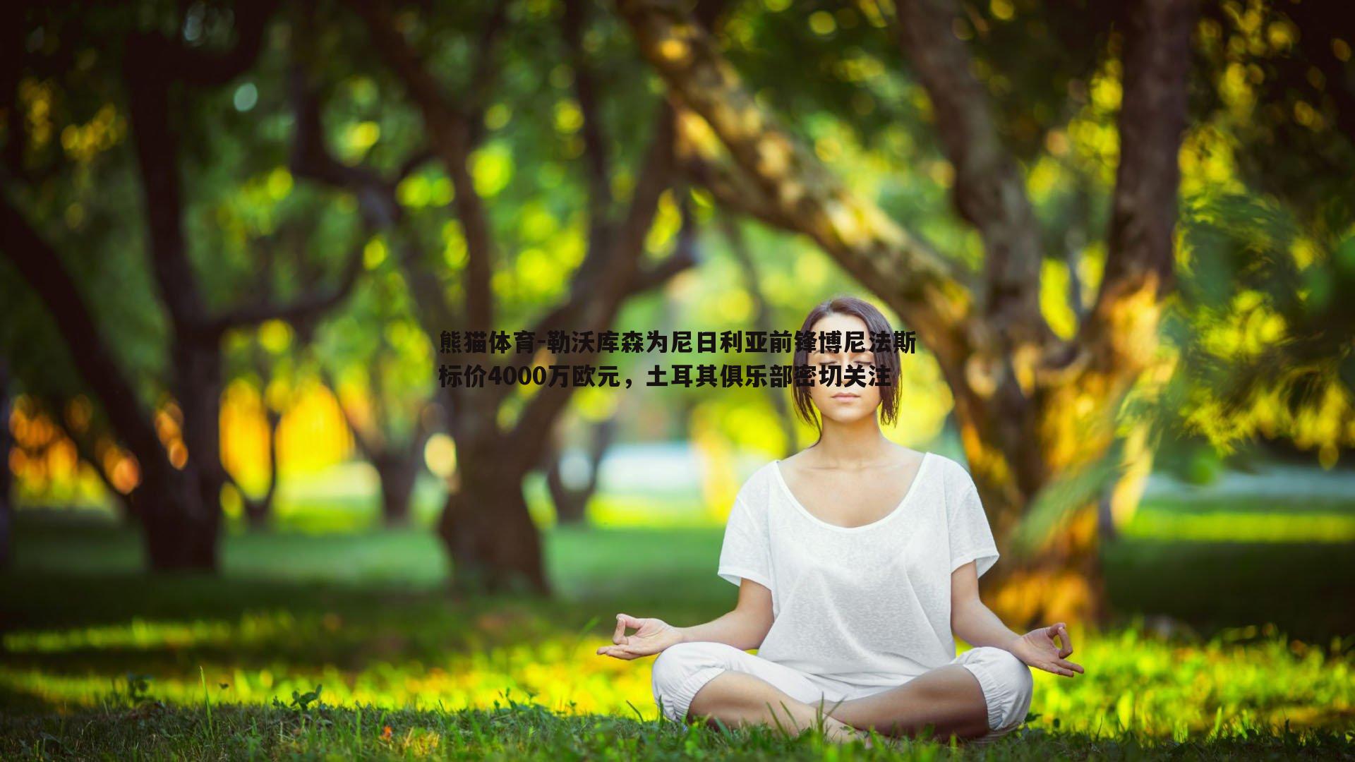 勒沃库森为尼日利亚前锋博尼法斯标价4000万欧元，土耳其俱乐部密切关注